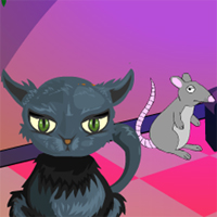 play Rat Escape From Cat