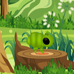 play Hidden Insects New