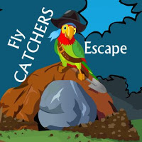 Fly Catchers Escape