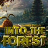 play Into The Forest