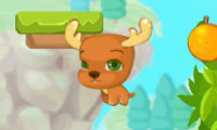 play Hop Hop Animals