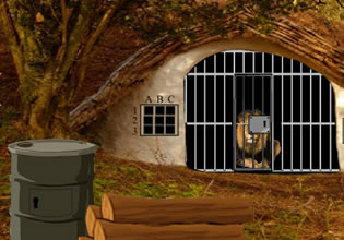 play Lion Escape