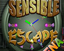 play Sensible Escape