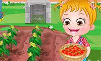 play Baby Hazel: Tomato Farming