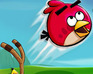play Angry Birds Sling Shooter