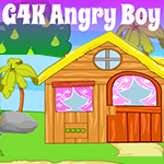 play Angry Boy Escape
