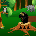 play Wild Animal In The Forest Escape