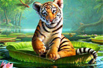 play Siberian Tiger Cub Escape
