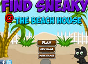 Find Sneaky Beach House