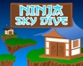 play Ninja Sky Dive