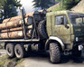 Logging Truck Jigsaw