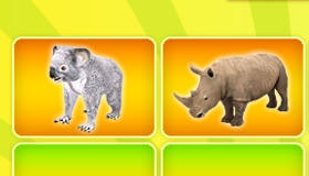 play Animal Puzzle For Girls