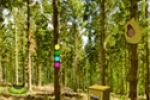 play Summer Forest Escapе