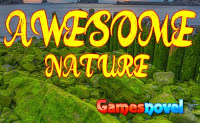 play Awesome Nature Escape