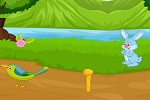 play Macaw Parrot Escape