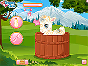 play Pet Stars: Lovely Lamb