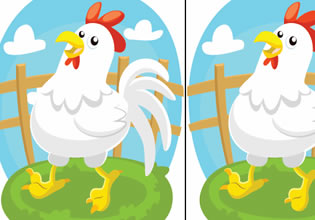 play Chicken Difference World