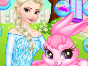 play Frozen Elsa Pet Care