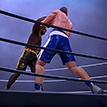 play Ultimate Boxing