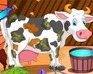 play Holstein Cow Care