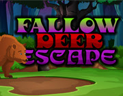Fallow Deer Escape