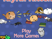 play Playful Kittens Game