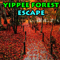 Yippee Forest Escape