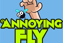 play Annoying Fly