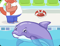 play Dolphin Slacking