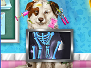 play Dog Pet Rescue