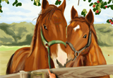 play Horses Art Book Differences