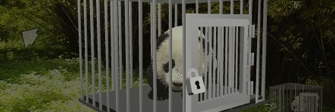 Baby Panda Escape