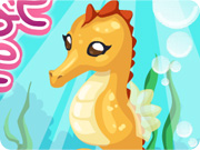 play Seahorse Care