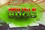 play House Full Of Bugs