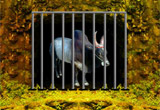play Escape Game Bull