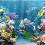 play Hidden Objects-Underwater World