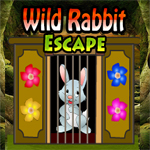 Wild Rabbit Escape Game