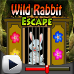 Wild Rabbit Escape Game Walkthrough