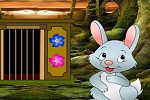play Wild Rabbit Escape