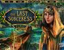 play The Last Sorceress