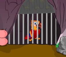 play Colorful Parrot Escape