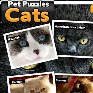 play Pet Puzzles: Cats