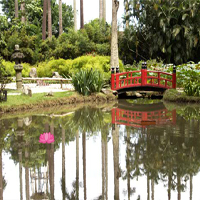 play Escape From Rio De Janeiro Botanical Garden