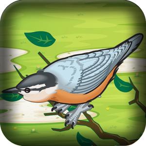 Mad Birds War: Air Domination - Flying And Shooting Game