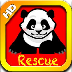Panda Rescue Hd