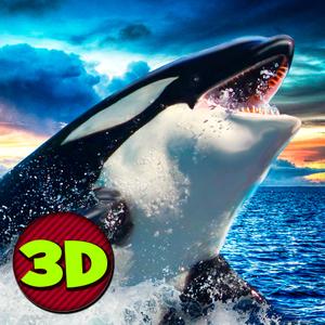 Killer Whale: Orca Simulator 3D