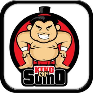 King Of Sumo Wrestler: Japan Sport Sumo Fighter Combat Game