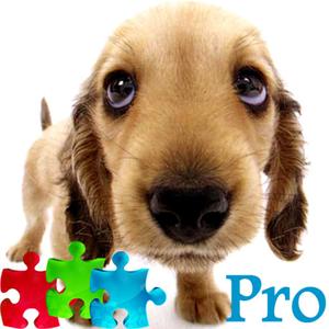 2000 Cute Puppy Jigsaw Puzzle Pro