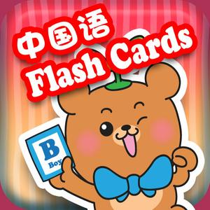 Dr Kids Diy Flash Cards - Chinese 中國語