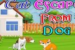 play Cat Escape From Dog
